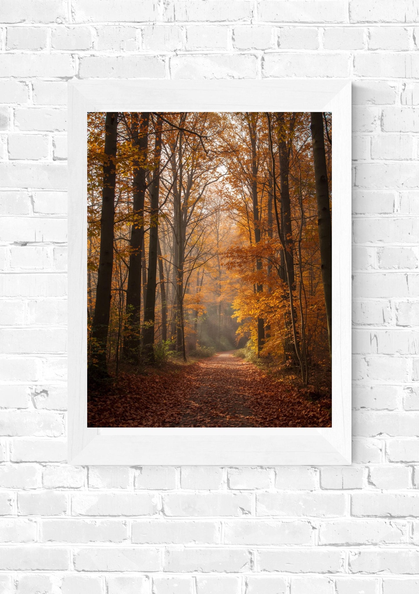 Autumn Forest Path Wall Art | Rustic Fall Landscape Print Set (Digital Download)